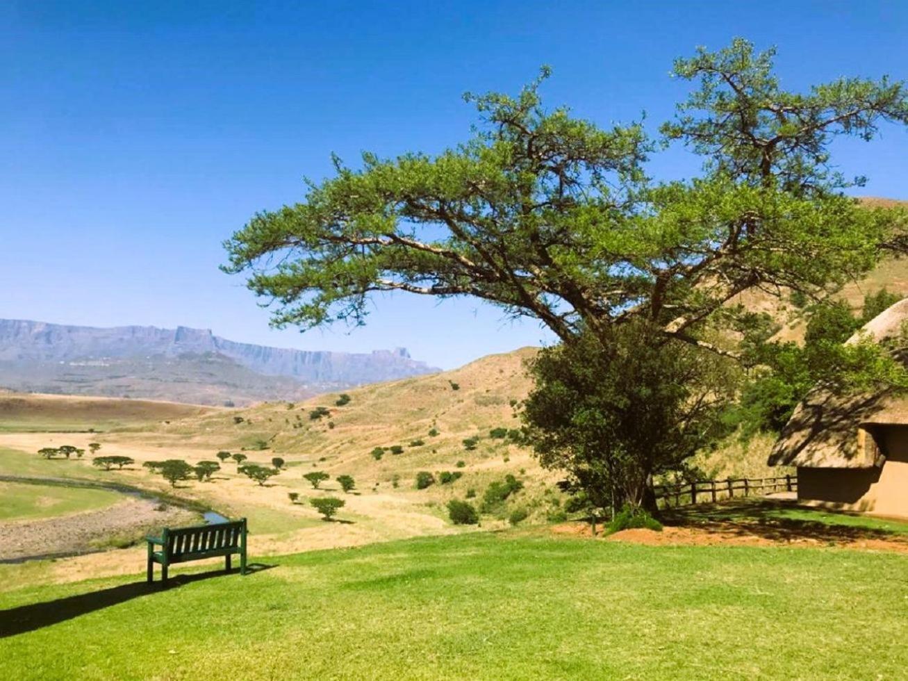 Hlalanathi Drakensberg Resort เบิร์กวิลล์ ภายนอก รูปภาพ